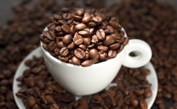 caffeina