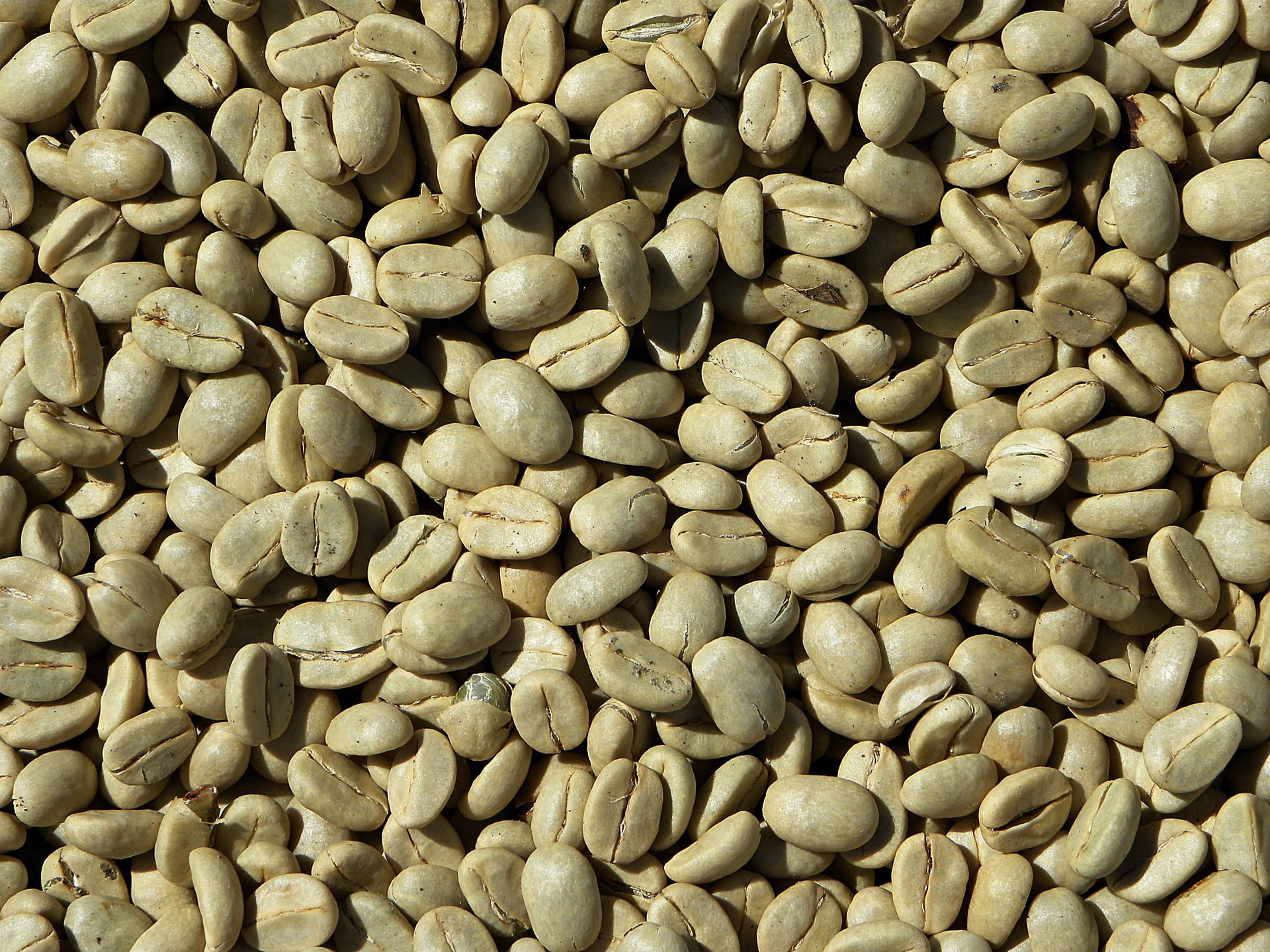 green-coffee-927604_1920