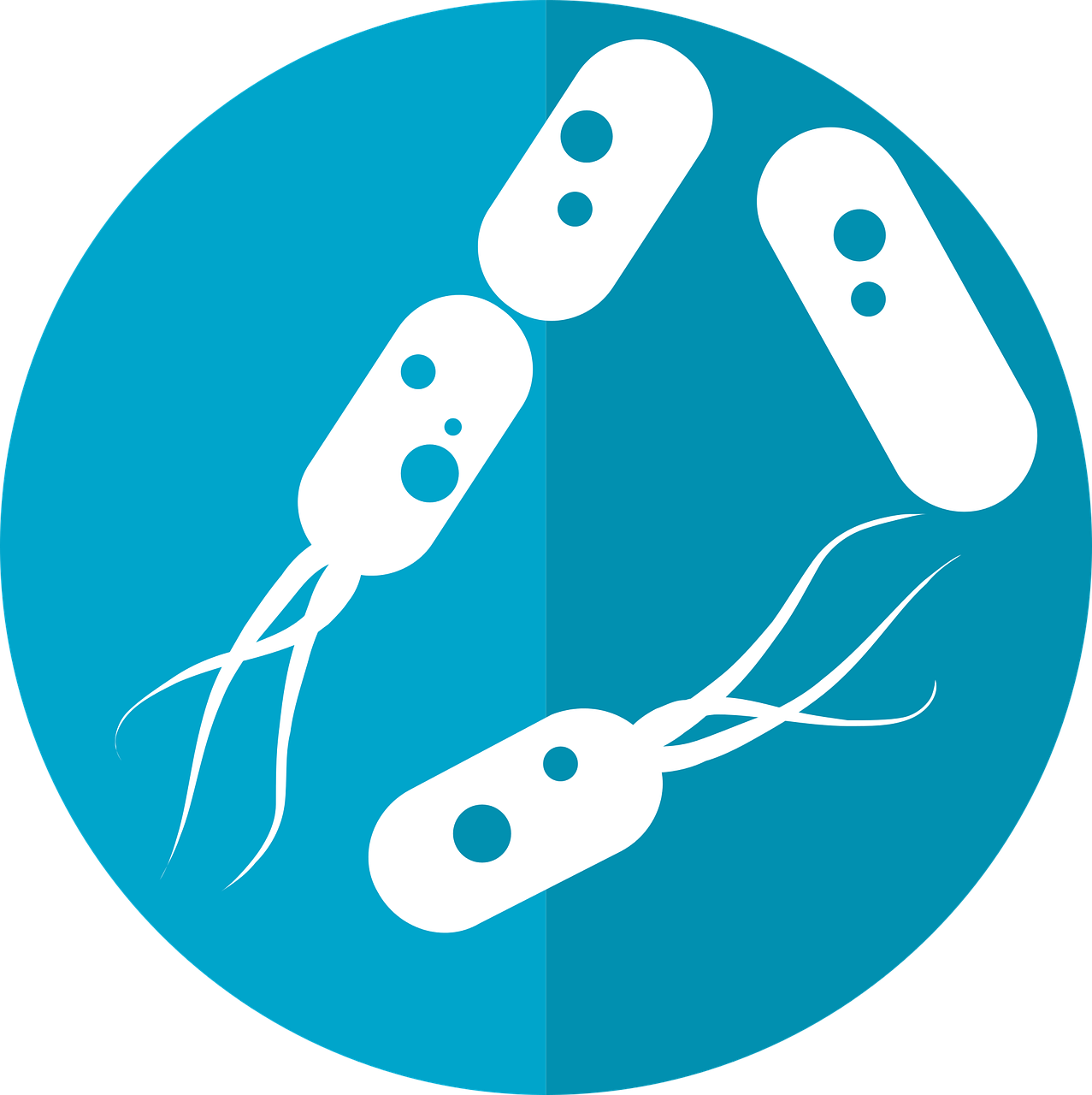 microbiota